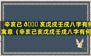 辛亥己 🐈 亥戊戍壬戌八字有何寓意（辛亥己亥戊戍壬戌八字有何寓 🐦 意和象征）